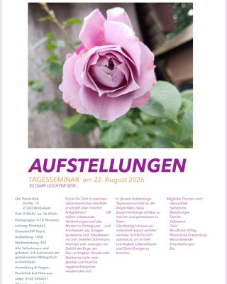 Ein Bild mit einer Rose und Text mit Infos zum Aufstellungsseminar
